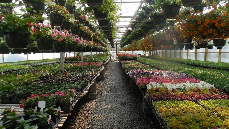 Landscape or Nursery Management (BS)